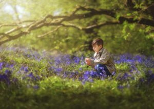 Young boy sitting among bluebells in Nottingham's woodland during a photoshoot.