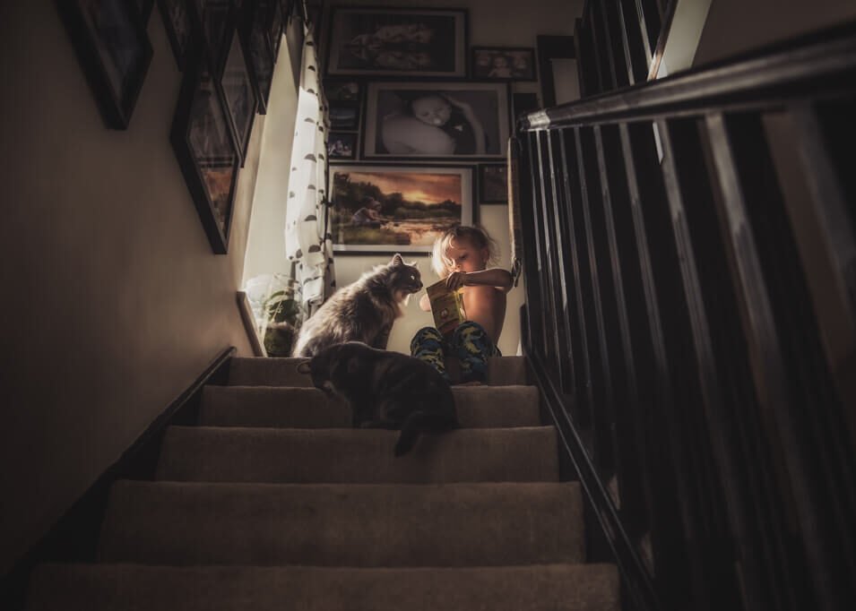 In a cozy stairway nook, a child shares a quiet moment with two attentive cats, illuminated by a soft light that highlights a family photo gallery on the wall.