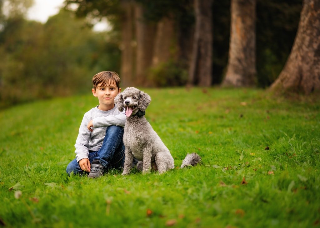 A boy with a tender smile sits closely with his fluffy grey poodle on a vibrant grassy field in Nottingham, a natural scene of friendship perfect for pet/dog photography enthusiasts.