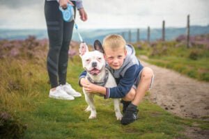 A young boy crouches joyfully with his French Bulldog on a scenic trail, surrounded by heather fields, with the guidance of an adult dog walker in Nottingham.