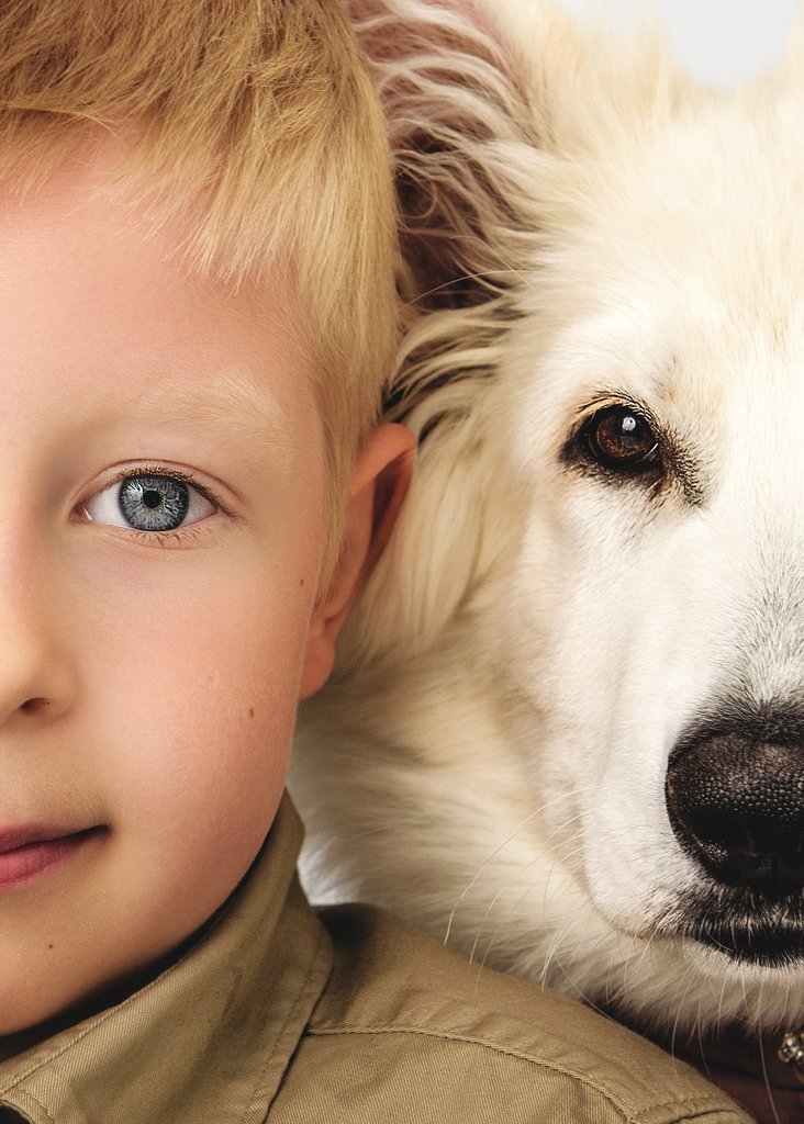 A close-up of a young boy with piercing blue eyes sharing a comforting moment with his white furry friend, showcasing the pure connection between a child and their dog.