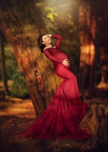 Pregnant woman in a burgundy gown leaning against a tree during a sunset maternity photoshoot.