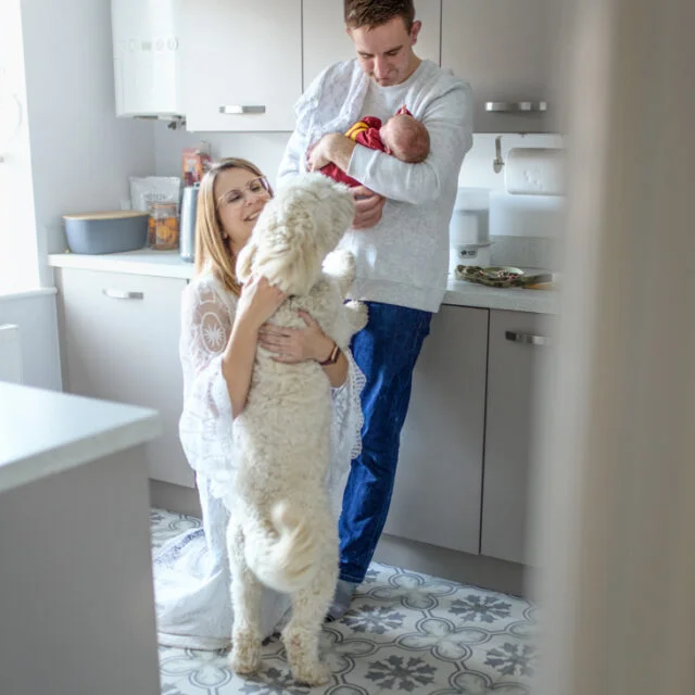 Family cuddling with their newborn baby and dog in the kitchen during a newborn photoshoot at home.