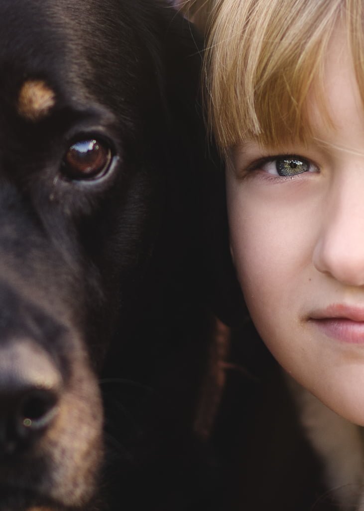 A close-up of a tender moment between a child and their loyal black dog, eyes speaking volumes of their deep bond in Nottingham.