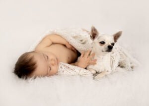 Sleeping baby wrapped in a crocheted blanket with a small dog during a baby photography session.