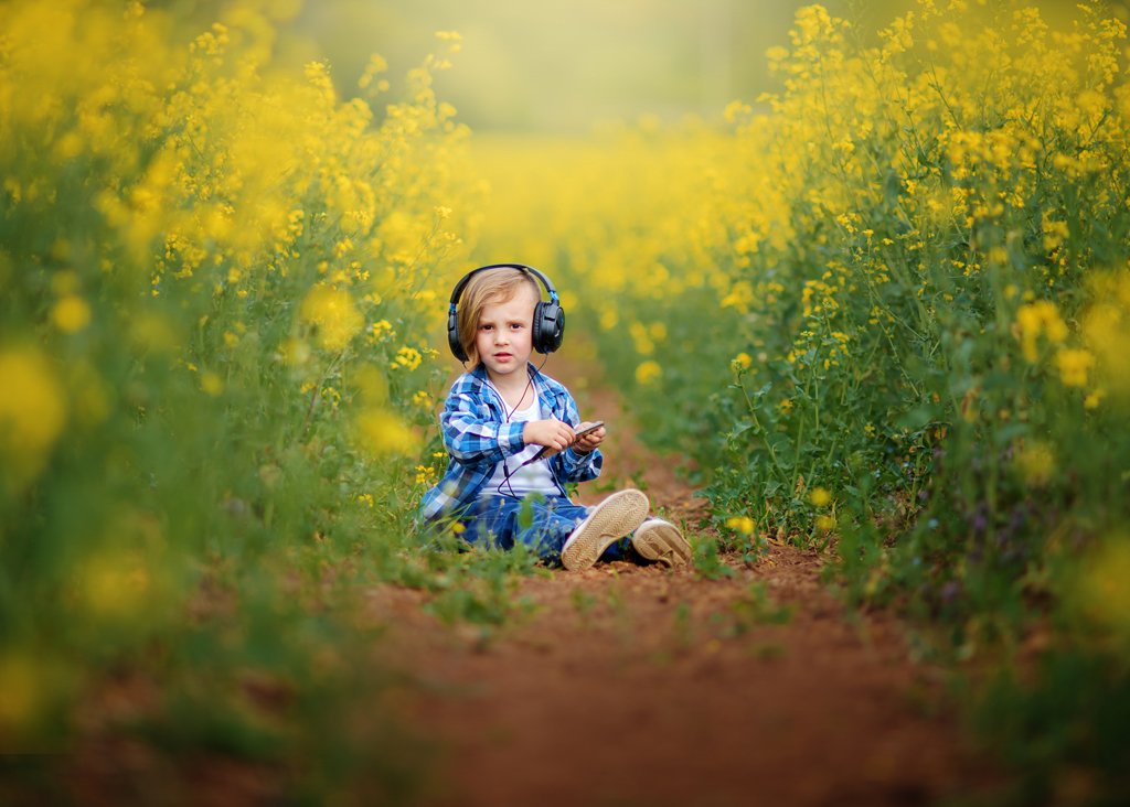 boy sitting on a rapeseed field listening music, portrait from Outdoor Children Photography in Nottingham