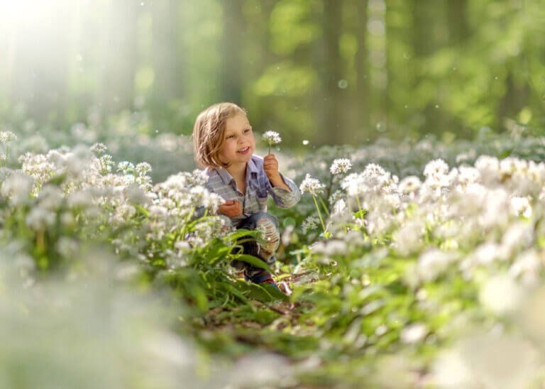 Boy picking a white flower of wild garlic during a Spring Outdoor Family Photoshoot in Nottinghamshire and Derbyshire.
