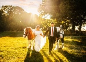 Couple walking with their two horses during a sunset equine photoshoot